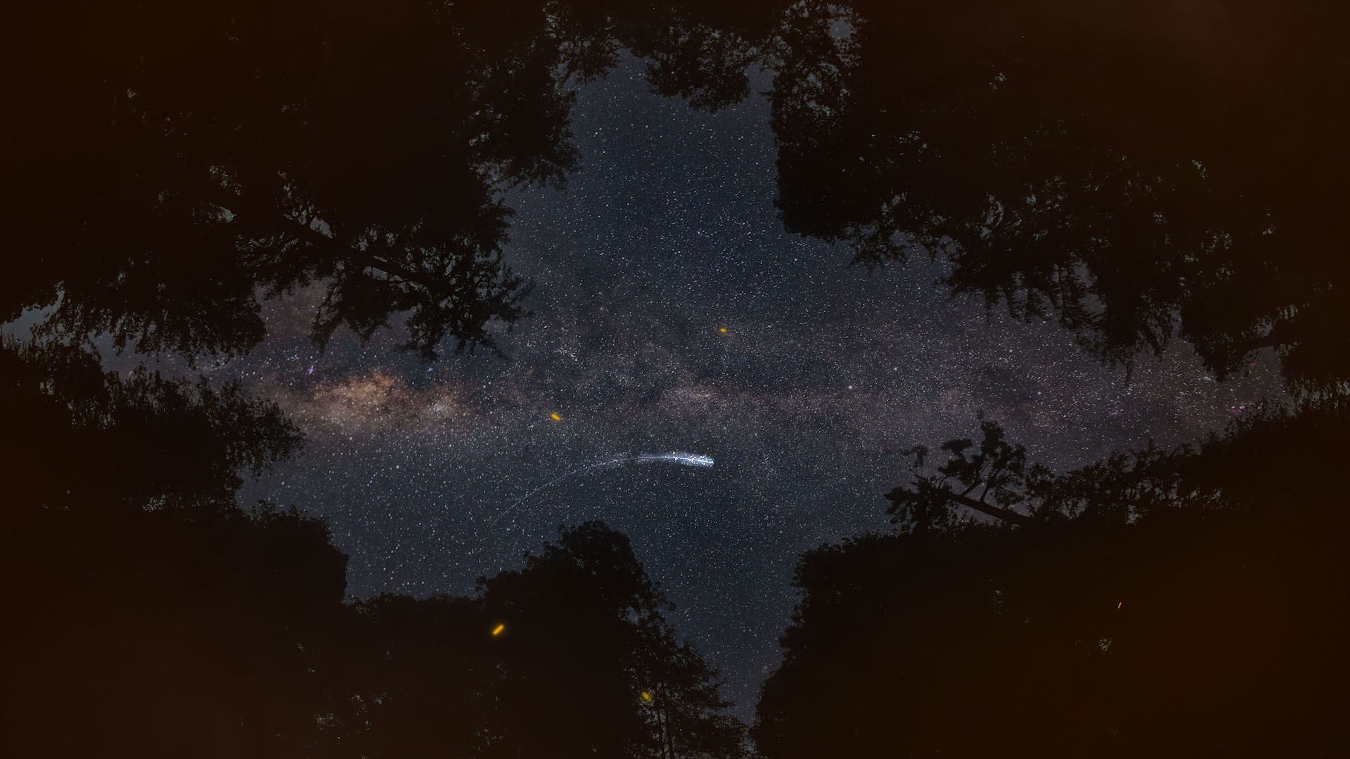 Asleep in Perfection